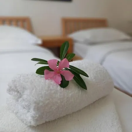 Rosa Mirca Lägenhet Mirce